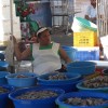 Oysters with a pearl of wisdom in Mazatlan, Mexico