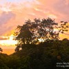 Sunset Sunday-An Osa Peninsula Sunset in Costa Rica