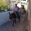 Santorini-Fira-Donkey-Stroll-cZabransky