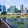 Episode 08: The Sensations of Singapore, a City for the Senses