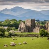 Irish Splendor: Embark on an Unforgettable Journey with Exclusive Ireland Travel Packages