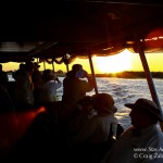 chobe safari river cruise sunset in botswana