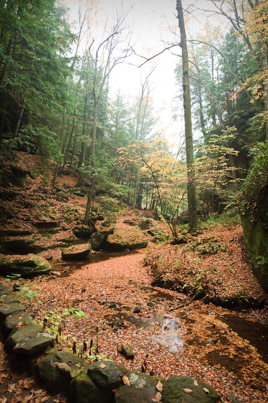 Fall Foliage Hocking Hills, Ohio Stay Adventurous Mindset for