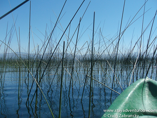 in a kayak through the grass on lake atitlan, guatemala