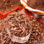 Chapulines, Mexican Crickets are very common in Oaxaca