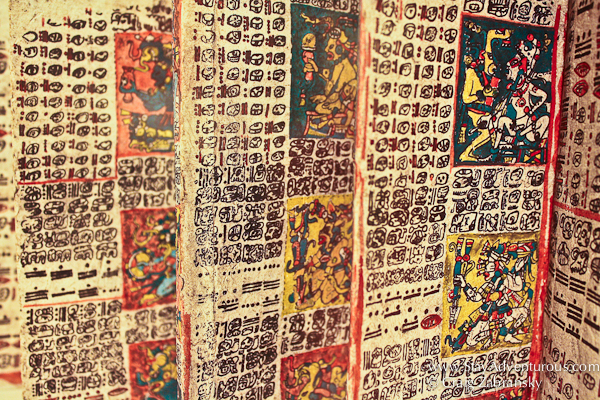 a detailed view of a Mayan Codex