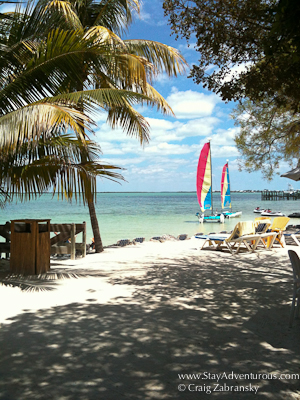 the beach at the hilton key largo resort in the florida keys