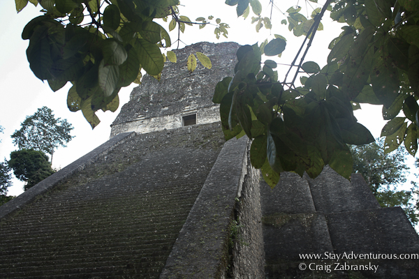 Templo V at Tikal, Guatemala 