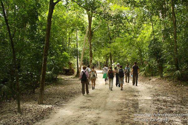 on the trail in the jugles of the mayan ruins of Tikal, Guatemala