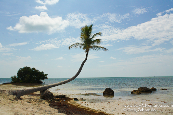 the beach at the Moorings in Islamorada, Florida Keys
