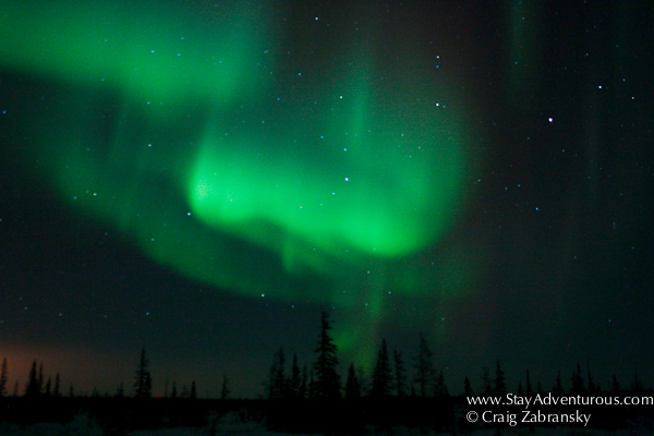 Northern Lights, the Auora Borealis outside of Churchill, Manitoba, Canada with Frontiers North 