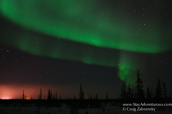Northern Lights, the Auora Borealis outside of Churchill, Manitoba, Canada with Frontiers North