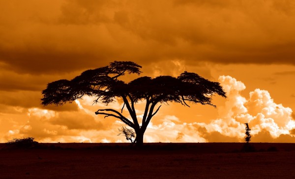 sunset in kenya, africa during a safari. #whyILoveKenya 