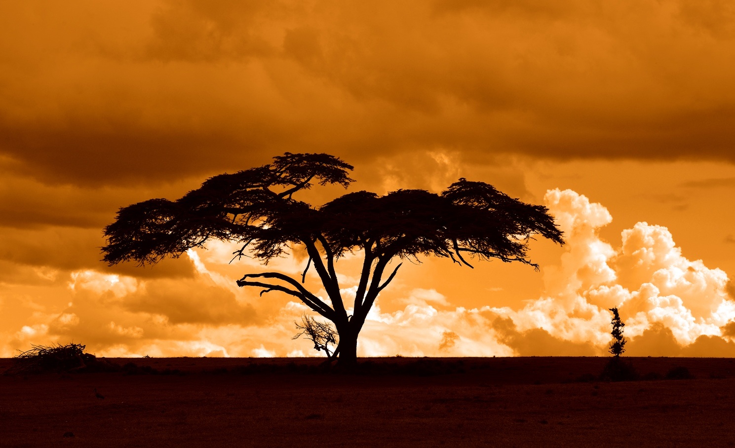 Sunset Sunday - Safari Sunsets in Kenya | Stay Adventurous | Mindset