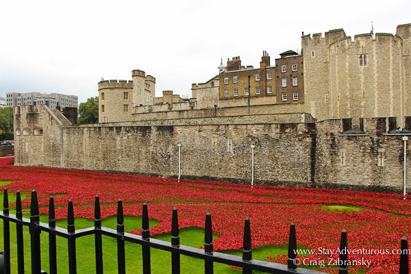 The Blood Swept Land and Seas of Red Ceramic Poppies Tower of London Art Tribute to Fallen of World War I in London, UK