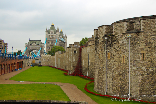 The Blood Swept Land and Seas of Red Ceramic Poppies Tower of London Art Tribute to Fallen of World War I in London, UK