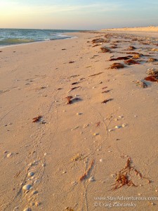 view of the beach on the virgin beach along the gulf of Mexico at hotel xixim in celestun, yucatan, mexico