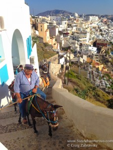 Donkeys making the climb in Fira, Santorini