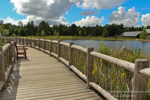 the bridge at the wild center in the Adirondacks of New York