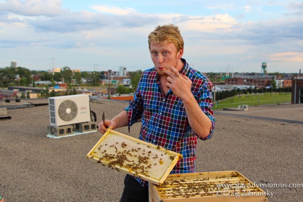 Declan, Montreal Beekeeper