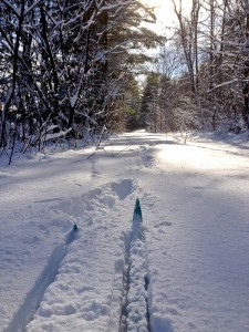 Cross Country Ski in Lake Placid, NY, part of the perfect snow day in the Adirondacks