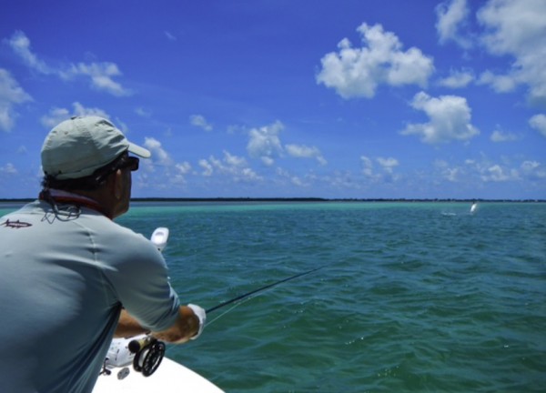 fly flishing in islamorada, florida keys with Captain Harp Heffernan Allie Cat Fishing Charters