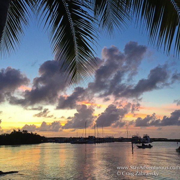 sunset from executive bay club in islamorada, florida keys