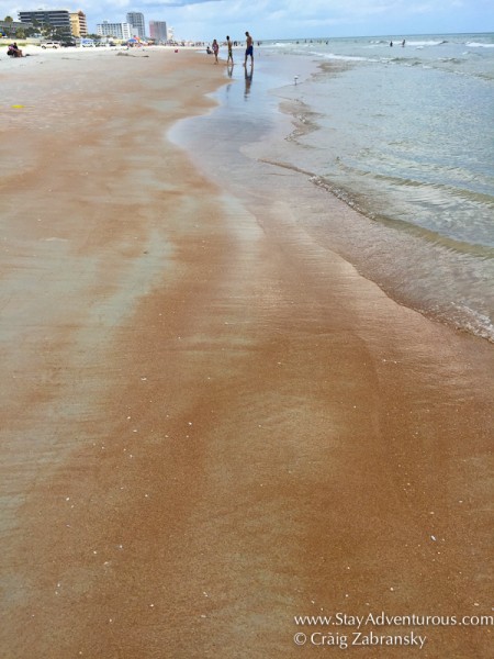 the beach and pink sand of Daytona beach, florida