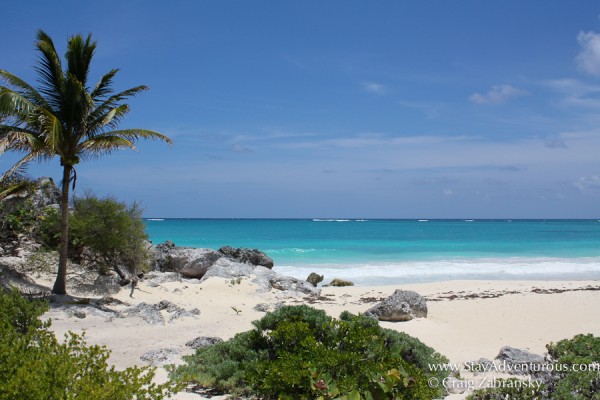 beach reserved as a Turtle Nesting Ground at the Mayan Ruins of Tulum