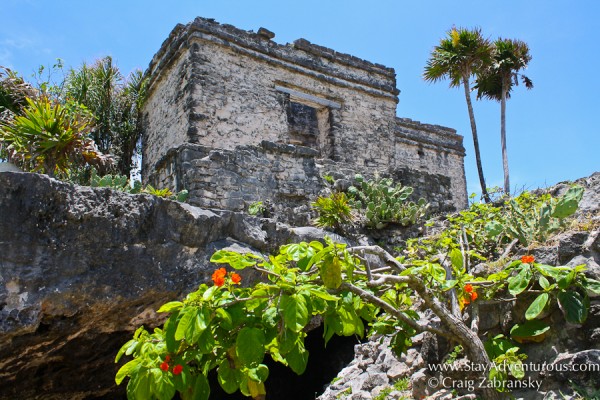 the mayan ruins of tulum in q roo, mexico