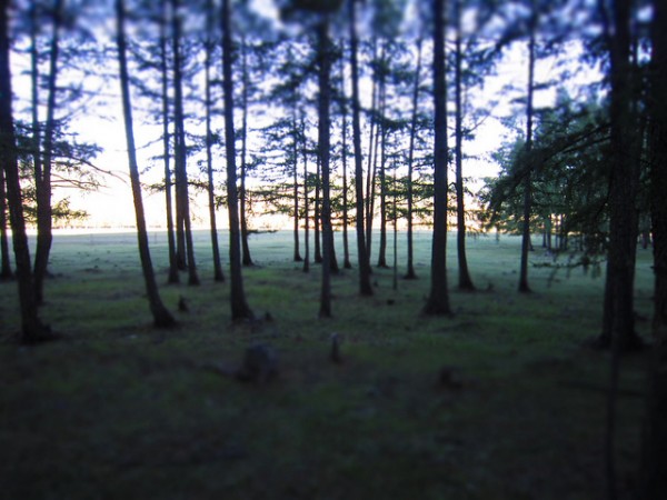 Mongolia - Terelj Park 