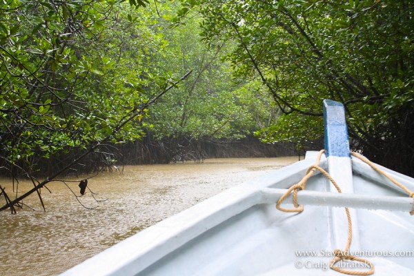 Mangroves-Langkawi-cZabransky