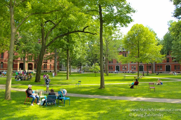 Harvard Campus