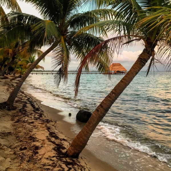 the beach in palencia, belize