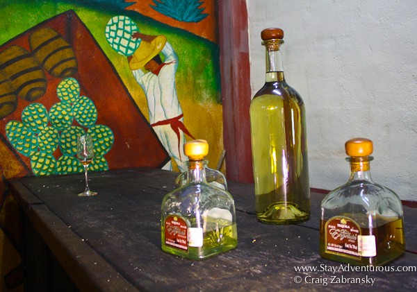 dona engracias tequila tasting in puerto vallarta, mexico