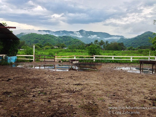 view of the land at hacienda doña engracia in puerto vallarta, jalisco, mexico