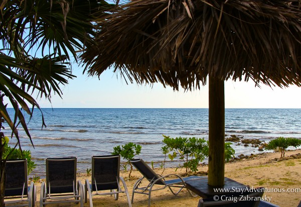 the view of the snorkeling are on Big French Key, a Norwegian Cruise Line Excursion on Roatan, Honduras