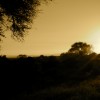 Sunset Sunday – Kruger National Park, South Africa