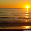 Sunset Sunday – Two Evenings in Carlsbad, California