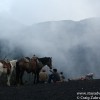 A Lesson Learned on the Pacaya Volcano Hike in Guatemala