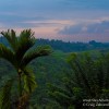 Sunset-Ubud-Bali-cZabransky