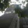 Two Days at Tikal – The Mayan Ruins in the Jungle of Guatemala