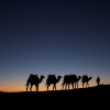Sunset Sunday-A Silhouette on the Sand Dunes of the Sahara Desert in Morocco
