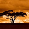 Sunset Sunday- Safari Sunsets in Kenya