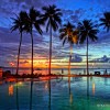 Sunset Sunday, The Pacific Palau Sunset