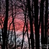 Sunset Sunday, A Warming Winter Sunset from the Pocono Mountains