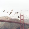 A Basic Travel Guide to San Francisco