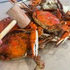 7 Delightful Tastes of Ocean City, Maryland