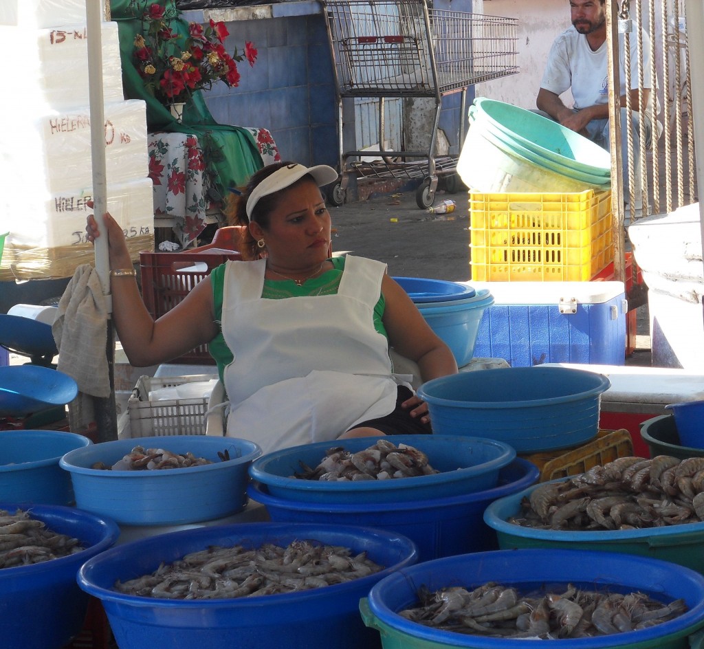 shrimp market in mazatlan mexico