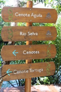 we floated Cenote Aquila y Rio Selva